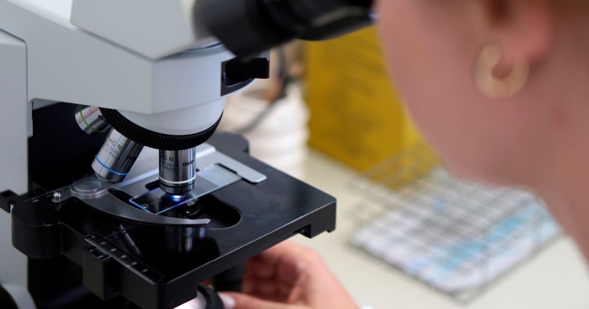 cnpq-autoriza-que-bolsistas-tenham-outras-fontes-de-renda;-veja-regras