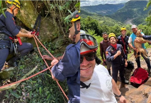 cadela-e-resgatada-apos-quatro-dias-presa-em-mata-no-rio-grande-do-sul