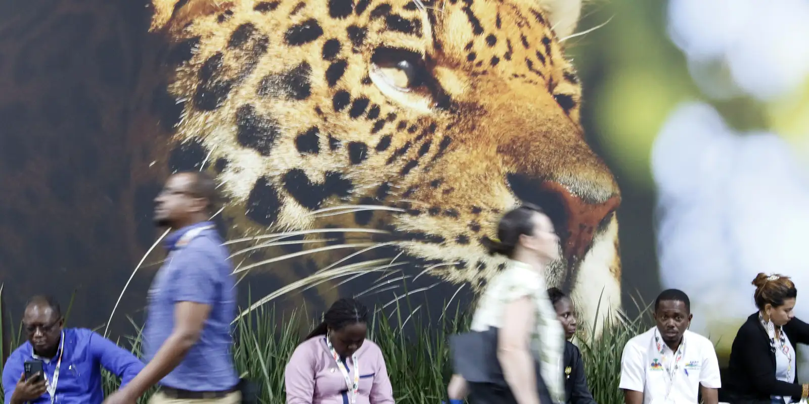 sociedade-civil-critica-rascunho-de-documento-final-da-cop30