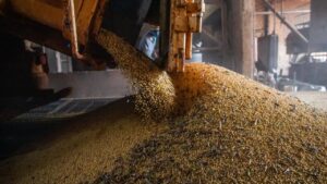 ibc-br:-previa-do-pib-sobe-0,5%-em-abril-de-2026
