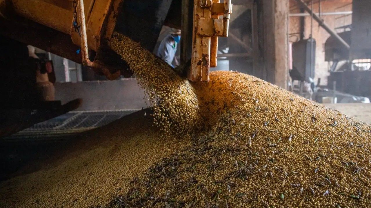 ibc-br:-previa-do-pib-sobe-0,5%-em-abril-de-2026