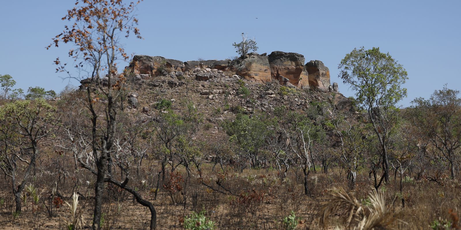terras-indigenas-representam-preservacao-e-cultura-para-o-cerrado