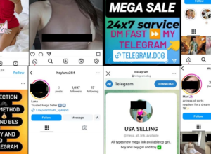 as-redes-sociais-e-o-crime-organizado:-quem-vai-pagar-a-conta-da-fiscalizacao?