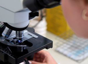 cnpq-autoriza-que-bolsistas-tenham-outras-fontes-de-renda;-veja-regras