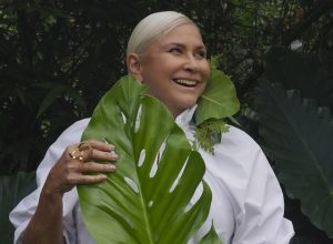 o-que-fafa-de-belem-e-a-presidente-do-banco-do-brasil-vao-discutir-no-para-sobre-a-cop-30