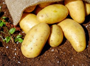 como-o-modo-de-preparo-da-batata-influencia-nos-beneficios-a-saude