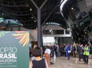 credenciais-da-cupula-do-clima-e-cop30-sao-diferentes,-diz-organizacao