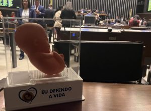 defesa-da-vida:-agora-e-a-vez-de-o-senado-agir