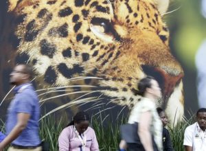 sociedade-civil-critica-rascunho-de-documento-final-da-cop30