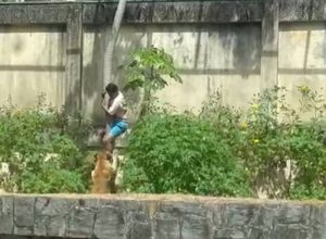 jovem-morto-ao-invadir-jaula-de-leoa-expoe-falhas-do-cuidado-da-esquizofrenia,-afirma-psiquiatra