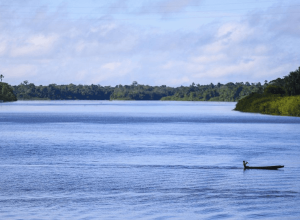 casal-e-preso-em-flagrante-ao-comprar-crianca-no-marajo-(pa)