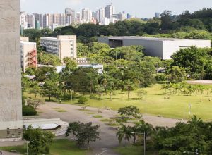 ranking-aponta-as-melhores-universidades-da-america-latina;-veja-posicoes-de-usp,-unicamp-e-outras