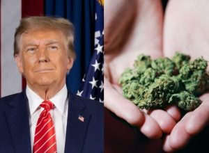 trump-assina-medida-que-classifica-maconha-como-droga-“menos-perigosa”