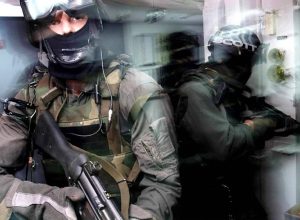 eua-lideram-domesticacao-forcada-das-terapias-psicodelicas