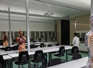 ia,-redes-neurais-e-big-data:-como-‘medicina-do-amanha’-deve-ser-aprendida-pelos-futuros-medicos