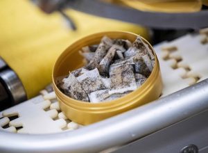 eua-freiam-aprovacao-de-saches-de-nicotina-por-risco-de-danos-a-jovens-e-nao-fumantes