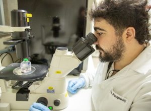 estudo-da-unb-em-fase-inicial-ve-omega-3-como-possivel-aliado-no-combate-ao-cancer-de-ovario