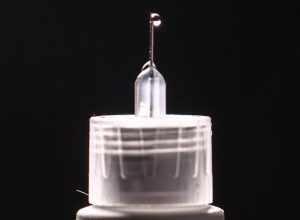 anvisa-rejeita-novos-registros-de-canetas-emagrecedoras-de-semaglutida-e-liraglutida