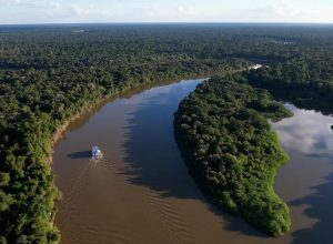 reino-unido-se-torna-o-segundo-maior-doador-do-fundo-amazonia