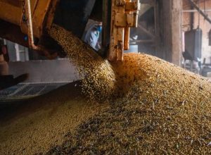 ibc-br:-previa-do-pib-sobe-0,5%-em-abril-de-2026