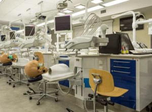 dino-vota-para-barrar-poder-do-cfm-de-interditar-cursos-de-medicina